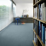 Moquette Vorwerk Frisea Biblioteca