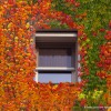 Autumn Sigma Zanzariera Autunno