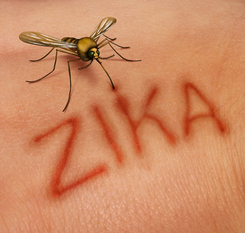 virus zika